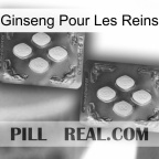 Ginseng For Kidney 01